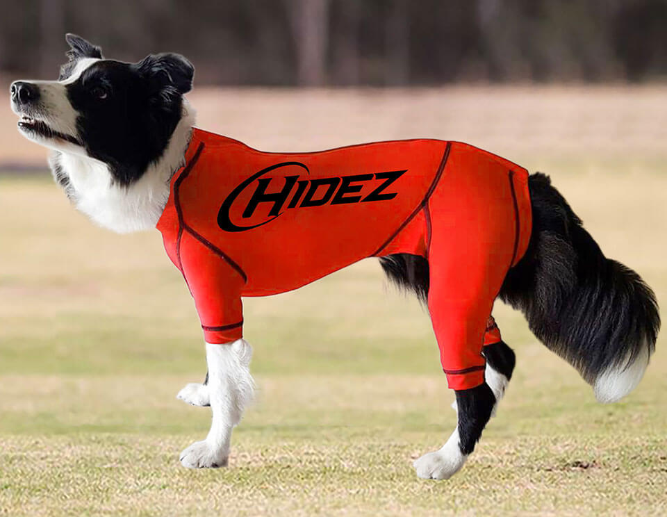 Hidez Greyhound Compression Suit