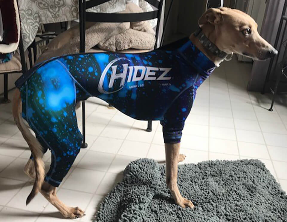 Hidez Greyhound Compression Suit