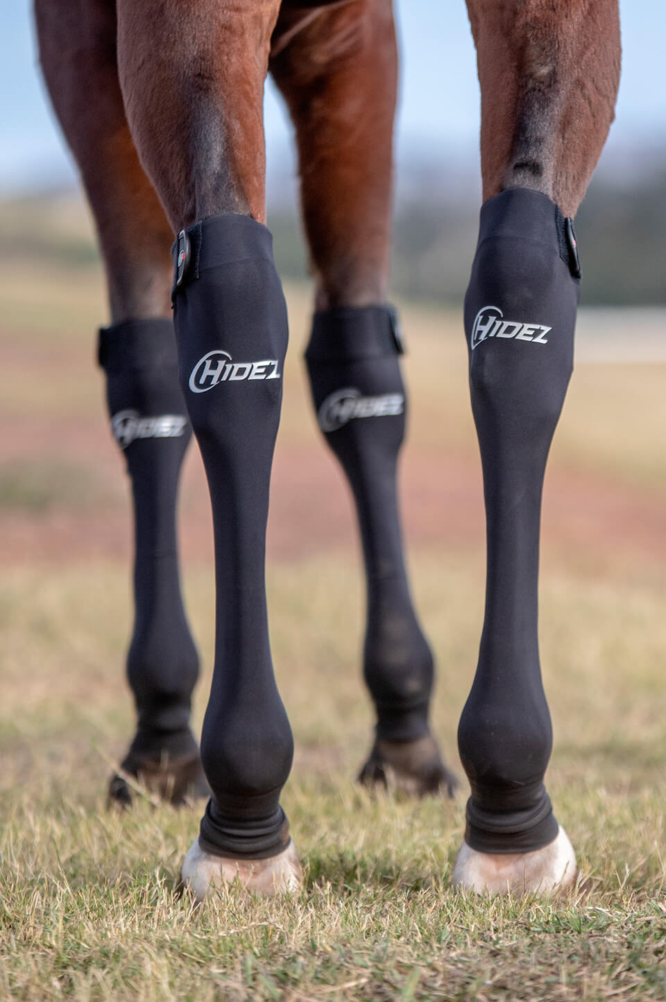 equine seamless compression sock black