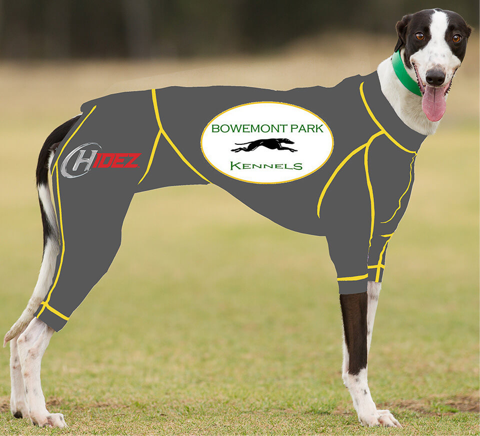 Hidez Greyhound Compression Suit