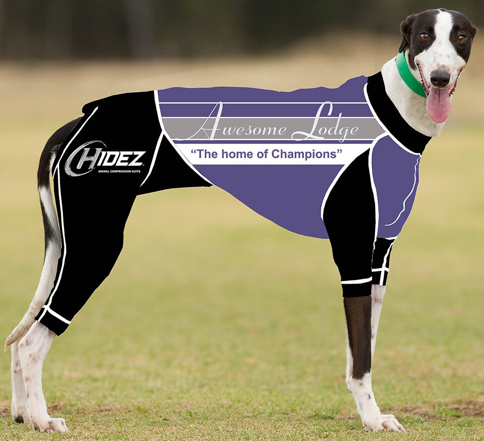 Hidez Greyhound Compression Suit